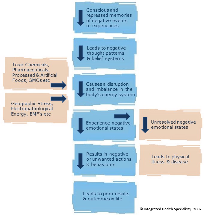 Integrated Health Specialists Holistic Therapy & Coaching Model