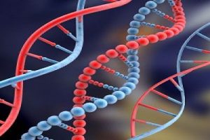 Weight loss and epigenetics