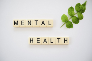 common mental health concerns